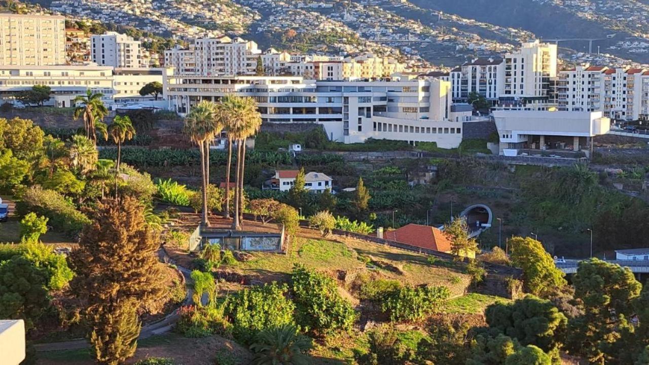 Magnolia Apartment Luxury Apt Great Views Funchal  Exteriör bild